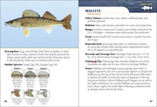 Load image into Gallery viewer, Fish of Michigan Field Guide