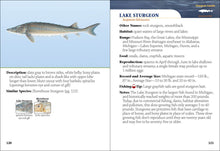 Load image into Gallery viewer, Fish of Michigan Field Guide