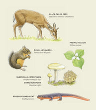 Load image into Gallery viewer, Curious Kids Nature Guide
