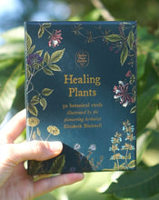 Load image into Gallery viewer, Healing Plants - 50 Botanical Cards