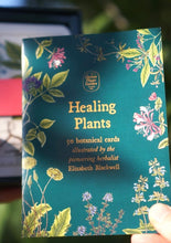 Load image into Gallery viewer, Healing Plants - 50 Botanical Cards
