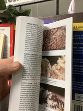 Load image into Gallery viewer, Rocks & Minerals 1st Guide