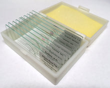 Load image into Gallery viewer, BJU Science Grade 7 Slide Set