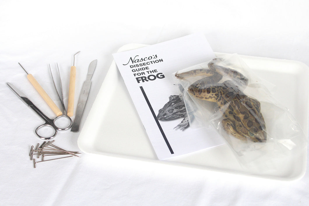 Frog Dissection Lab Kit