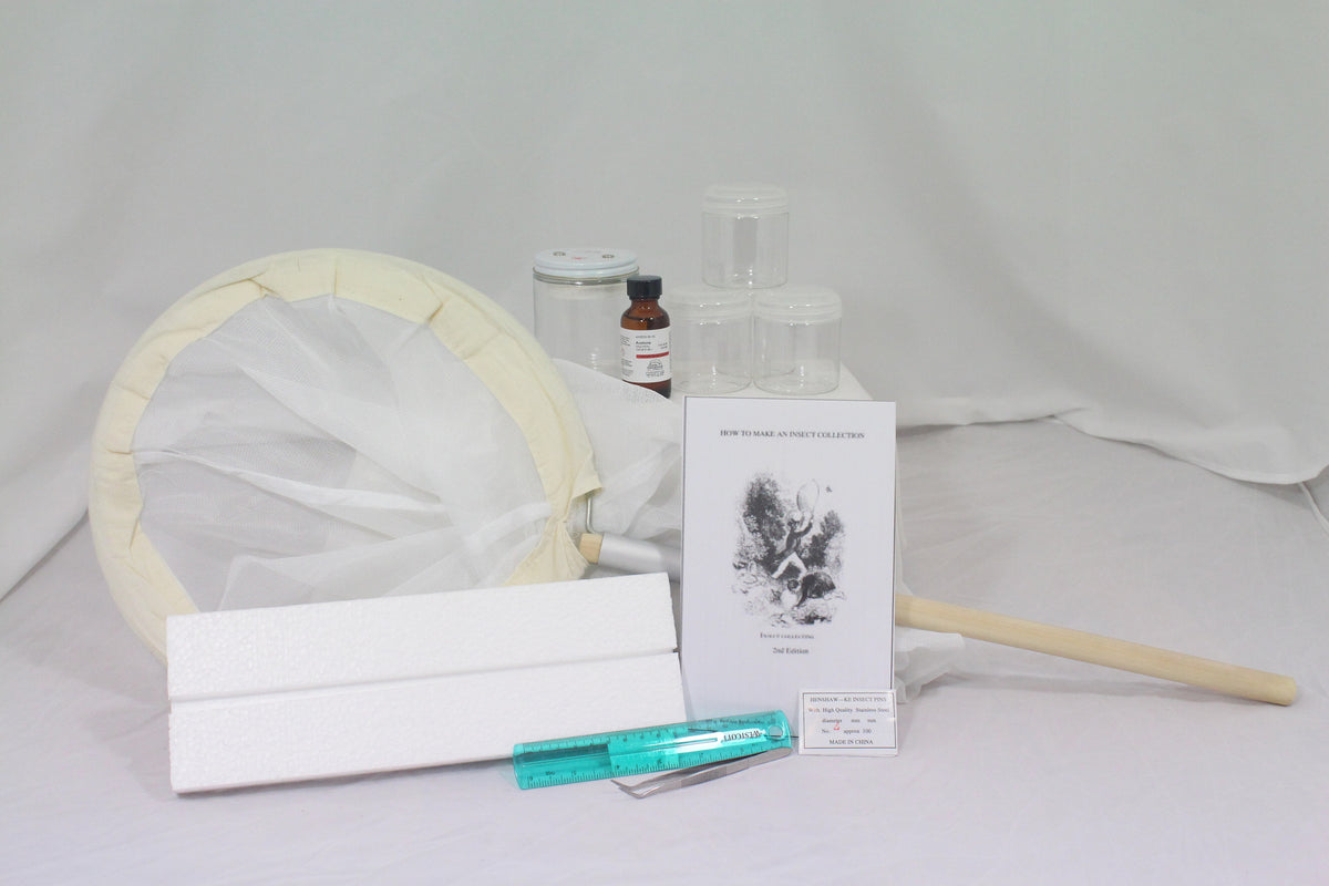 Insect Collecting Kit Home Educational Resources