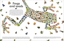 Load image into Gallery viewer, Shapes Of Nature
