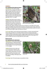 Load image into Gallery viewer, Edible Wild Plants &amp; Useful Herbs
