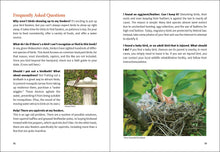 Load image into Gallery viewer, Midwest Birding for Beginners

