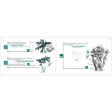 Load image into Gallery viewer, Rocky Mountain Tree Finder
