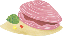 Load image into Gallery viewer, Secrets of the Seashore

