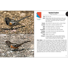 Load image into Gallery viewer, Birds of Arizona
