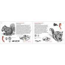 Load image into Gallery viewer, Mammals Finder - Pacific
