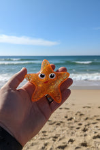 Load image into Gallery viewer, Squishy starfish NeeDoh ice cube textured
