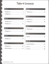 Load image into Gallery viewer, 10 Days to Multiplication Mastery

