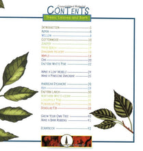 Load image into Gallery viewer, Trees, Leaves &amp; Bark
