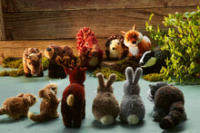 Load image into Gallery viewer, Pom-Pom Forest Animals
