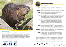 Load image into Gallery viewer, Critters of Georgia
