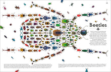 Load image into Gallery viewer, Shapes Of Nature
