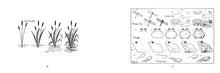 Load image into Gallery viewer, What to Draw and How to Draw It
