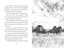 Load image into Gallery viewer, A Little House Chapter Book Collection Stories Of Adventure
