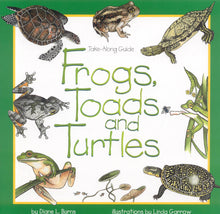 Load image into Gallery viewer, Frogs, Toads &amp; Turtles
