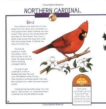 Load image into Gallery viewer, Birds, Nests &amp; Eggs
