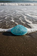 Load image into Gallery viewer, Squishy Seashell  With A Needoh Icecube Texture
