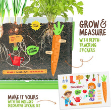 Load image into Gallery viewer, Root Viewer Kit for Kids
