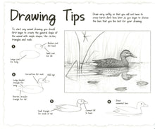 Load image into Gallery viewer, Wonders of Nature Sketchbook
