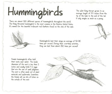 Load image into Gallery viewer, Wonders of Nature Sketchbook
