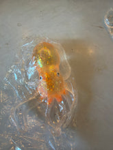 Load image into Gallery viewer, Viral Glittering Squishy Octopus
