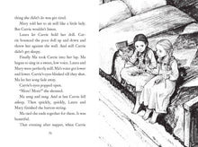Load image into Gallery viewer, A Little House Chapter Book Collection Stories Of Family
