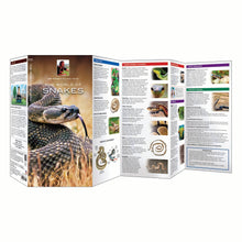 Load image into Gallery viewer, The World of Snakes Pkt Nat
