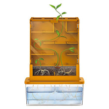 Load image into Gallery viewer, Grow-A-Maze
