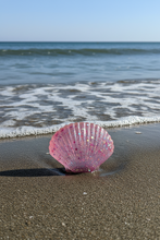 Load image into Gallery viewer, Squishy Seashell  With A Needoh Icecube Texture
