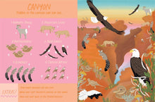 Load image into Gallery viewer, Explore Nature Search and Find
