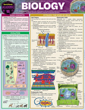 Load image into Gallery viewer, Biology Study Guide
