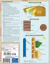 Load image into Gallery viewer, Botany Laminated Guide

