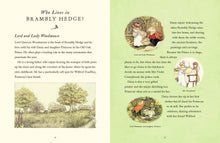 Load image into Gallery viewer, Visit To Brambly Hedge A Jill Barklem
