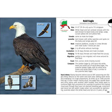 Load image into Gallery viewer, Birds of Alaska
