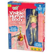 Load image into Gallery viewer, Visible Human Body
