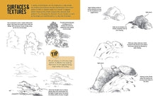 Load image into Gallery viewer, Landscapes-Step by Step Drawin
