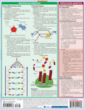 Load image into Gallery viewer, Biology Study Guide
