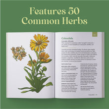 Load image into Gallery viewer, Little Encyclopedia Of Herbal Medicine
