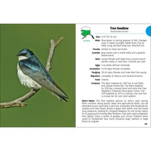 Load image into Gallery viewer, Birds of Alaska
