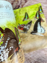 Load image into Gallery viewer, A Butterfly is Patient
