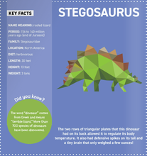 Load image into Gallery viewer, Dinosaurs Sticker Paintings
