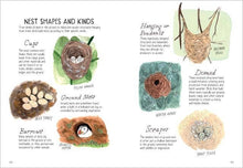 Load image into Gallery viewer, Bird Anatomy: Trade Paperback
