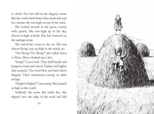 Load image into Gallery viewer, A Little House Chapter Book Collection Stories Of Family
