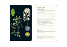 Load image into Gallery viewer, 50 Plants that Heal- Medicinal Plant Cards
